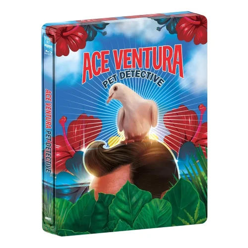 Ace Ventura WP